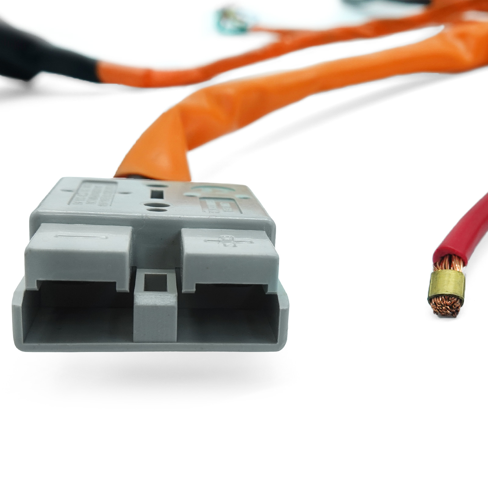 MX2 - main cable