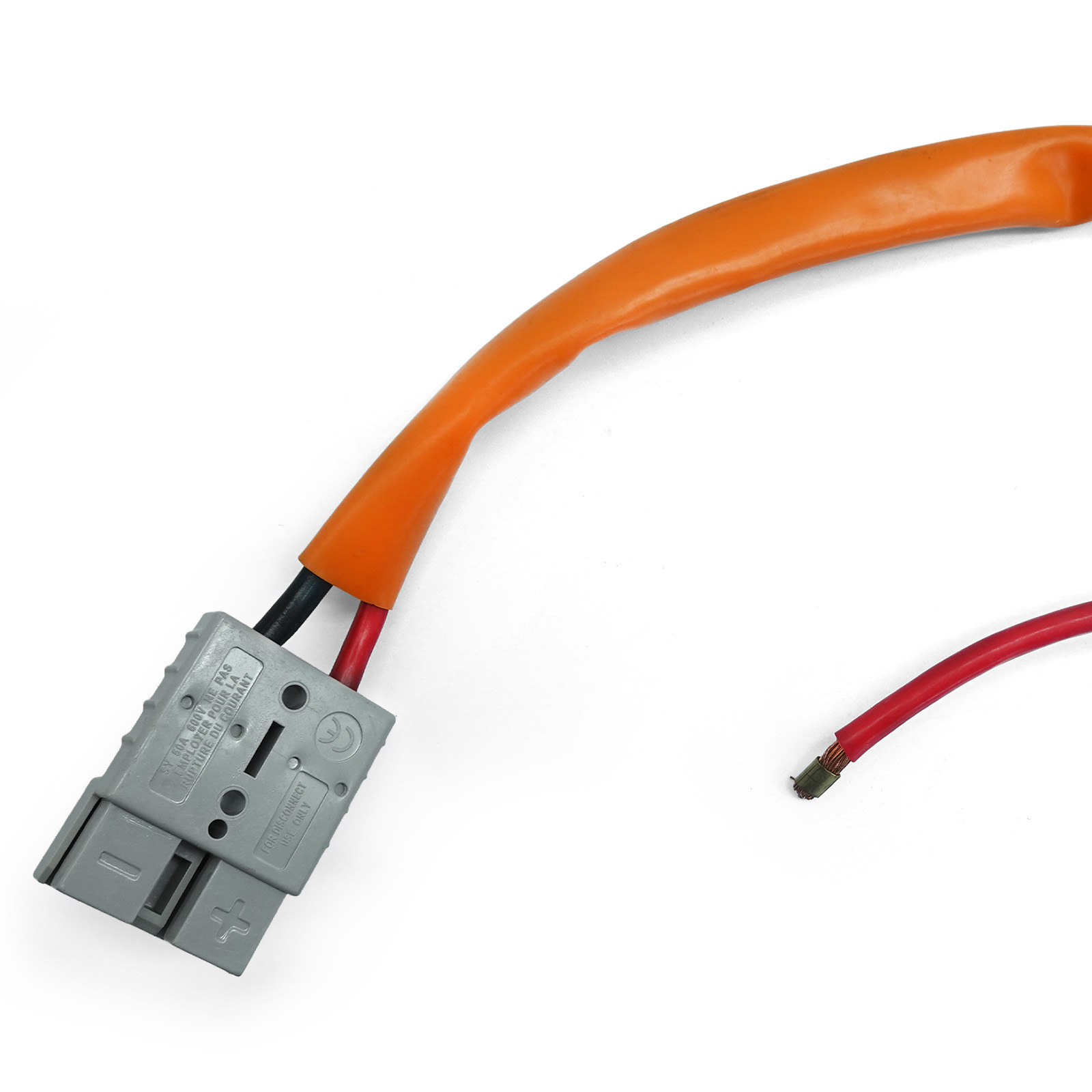 MX2 - main cable